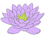 lotus3_soft