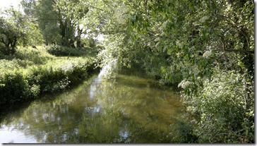 Tranquillity - The Calm After The Storm