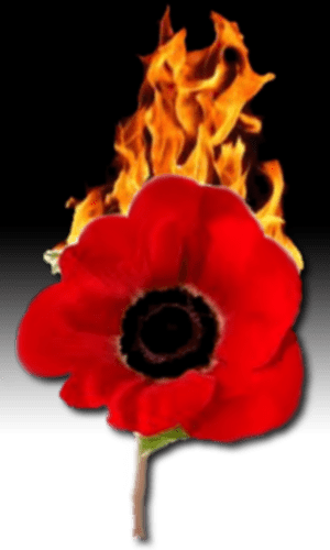 A Burning Poppy