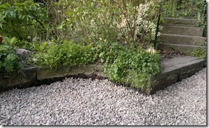 The Gravel Path To Enlightenment