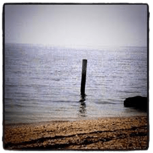 The Pole In The River