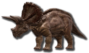 Triceratops