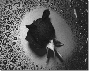 Thoughts For The Victims