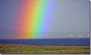 Sunshine And Showers