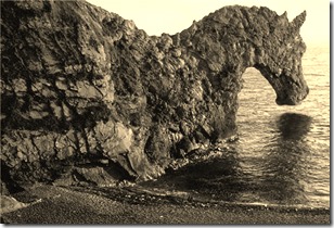 You can lead a horse to water, but you can’t make it drink