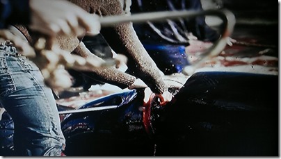 Tradition Or Tragedy?