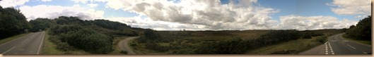 New Forest Panorama