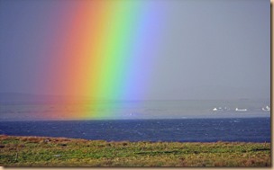 Enjoy that brief spell of sunshine on an otherwise rainy day